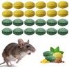 Mouse Rodent Repellent Balls 40PCS, Mice Repellent Outdoor, Peppermint Oil