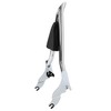 HECASA Detachable Backrest Sissy Bar Compatible with 2009-2024 Harley Touring