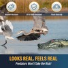 Outdoor Water Solutions Floating Alligator | Predator Deterrent | Pond
