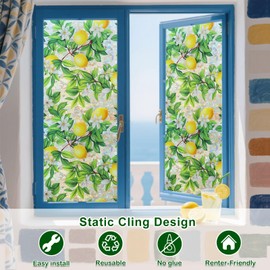 Stained Glass Window Film，Spring Window Clings,Rainbow Privacy Window Film One Way Decorative Windows Privacy Films Static Cling Bathroom Door Room Lemon Decor Renter Friendly Tint for Home Sticker