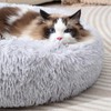 Cat Bed for Indoor Cats Donut Dog Bed Kitten Bed