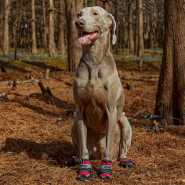 Dog Shoes for Large Small Medium Dogs,Anti-Slip,Reflective Strip Waterproof Dog Boots & Paw Protectors for Outdoor Walking Hot Pavement (Red, 1#(3XS))