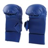 A Pair of Boxing Gloves Karate Hand Protector with Thumb