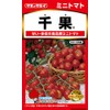 Takii Seedling Mini Tomato Chika