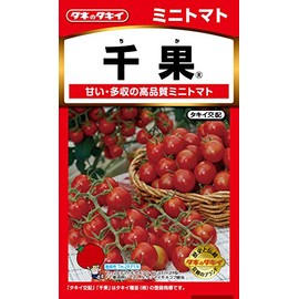 Takii Seedling Mini Tomato Chika