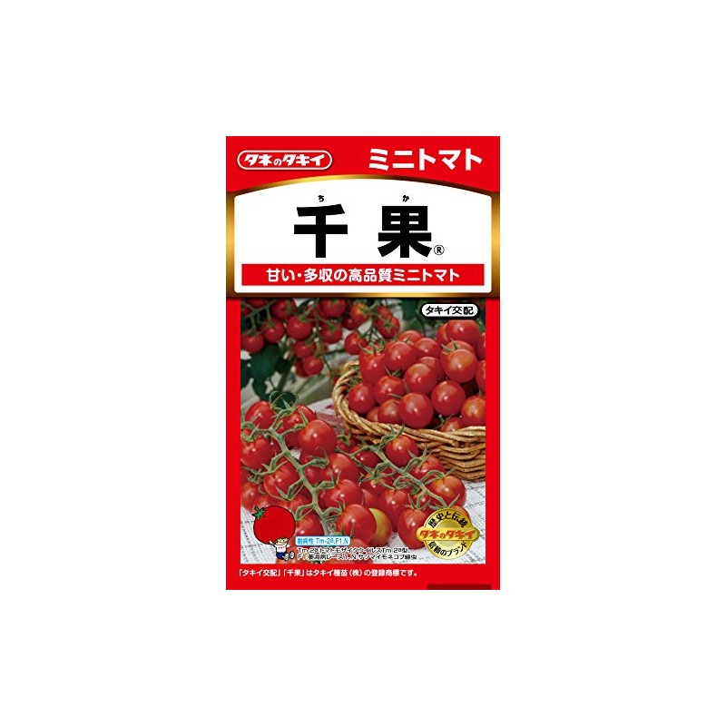 Takii Seedling Mini Tomato Chika