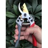 Horsvill Pruning Shears, Plant Shears, Flower Shears Made in Japan,