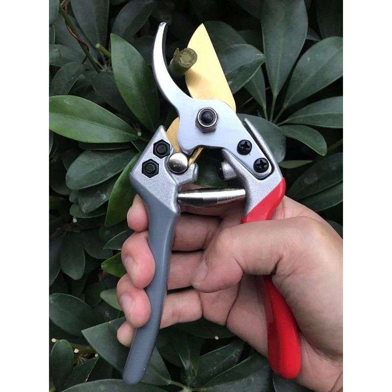 Horsvill Pruning Shears, Plant Shears, Flower Shears Made in Japan,