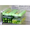 Kawasaki Synthetic Resin Plenty of Asazuke Salad AZ-030
