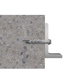 FISCHER 503784 Blister SXR 10 x 100 SS K NV