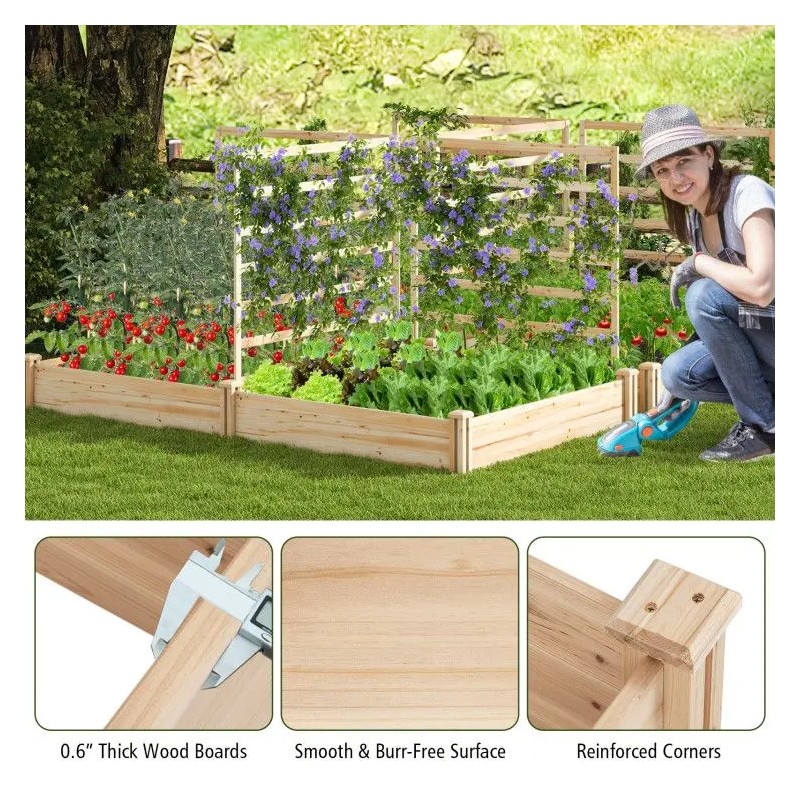 Raised Garden Bed with 2 Planter Boxes and 3 Trellis