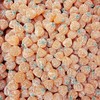 Candy Retailer Sour Jelly Pumpkins (5 Lb)
