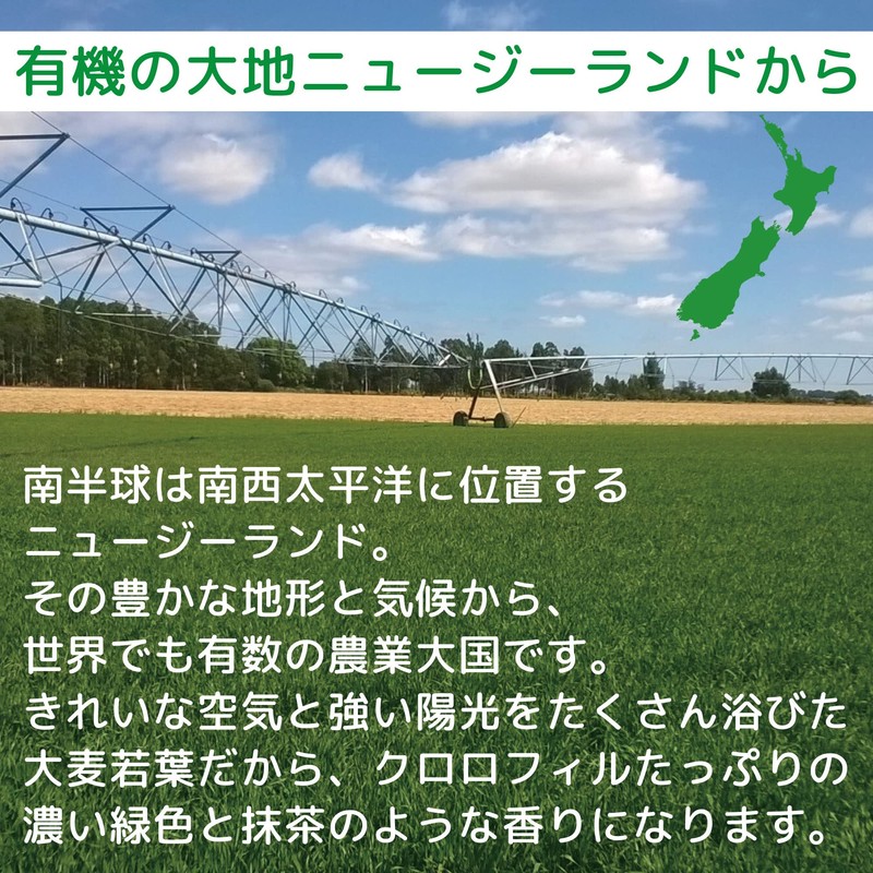 ソーキ ニュージーランドの大麦若葉 3g×30包 青汁 スティック 分包 有機JAS 食物繊維 葉酸