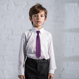 Alizeal Boys Solid Color Pre-tied 2.4'' Zipper Skinny Neckties for Kids, Dark Purple