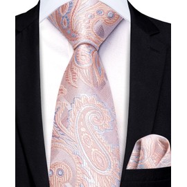 Hi-Tie Pink Boys Ties 8-10 Silk Self-Tied Paisley Kid Ties for Boy 10-11 Youth Necktie and Pocket Square Set for Party