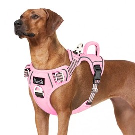 SlowTon No Pull Dog Harness, No Choke Pet Harness with 2 Leash Clips and Easy Control Vertical Handle, Adjustable Soft Padded Dog Vest for Small, Medium and Large Dogs