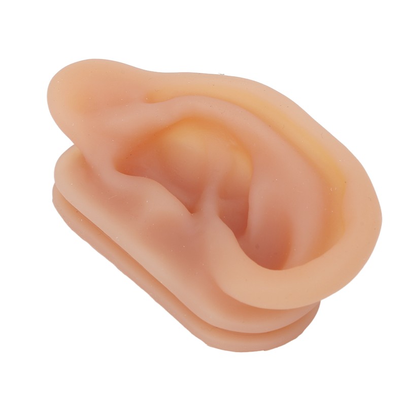 Silicone Ear Model Simulated Ear Model Acupuncture Practice Tool with