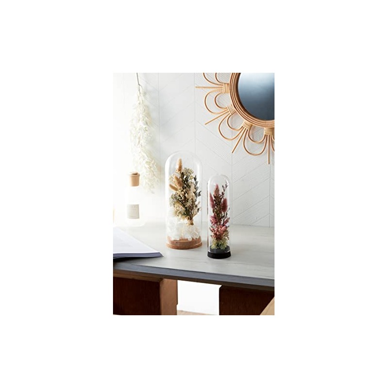 Paseo Cork Glass Dome NL Size: Approx. φ0.4 inches (10