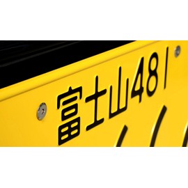 Flat Type Stainless Steel (Silver) License Plate Bolt 4 Piece & Tool Set M6 x 16