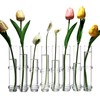 Dinyeo Hinged Flower Vase Small Tiny Glass Foldable Test Tube
