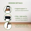 Double Step Footrest Under Desk Versatile Foot Stool Ottoman for