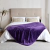 Yaning Waterproof Blanket for Bed Couch Sofa, Soft Liquid Pee