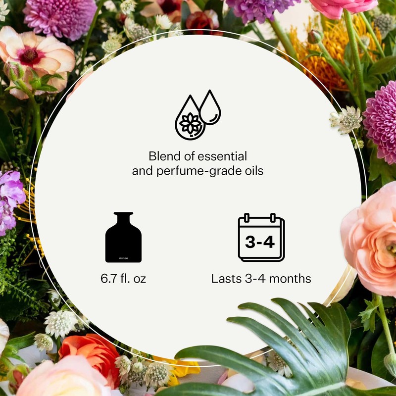 Apotheke Luxury Scented Oil Reed Diffuser Liquid Refill (Canvas) -