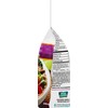Fresh Gourmet Wonton Strip Garlic Ginger 3.5 Ounce (Pack of