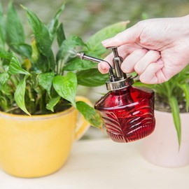 Glass Mini Watering Can Vintage Plant Mister Flower Water Spray Bottle and Faceted Glass Plant Watering Globe with Terracotta Spike,Red