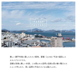 Imabari Factory Imabari Towel Handkerchief, 7days Handkerchief, Approx. 9.8 x 9.8 inches (25 x 25 cm), Made in Japan, Navy