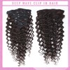 Curly Clip in Hair Extensions Real Human Hair 20 Inch