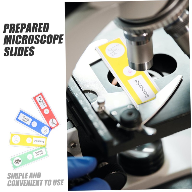 KOMBIUDA 12 pcs Prepared Microscope Slides for Educational Microbiology Specimens