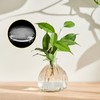 12 Pcs Plastic Flower Frog, 2.76 Inches Expertly Crafted Floral