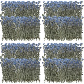 200 Pcs Natural Forget Me Not Pressed Dried Flowers Blue Don't Forget Me Dried Flower Real Dried Flowers for Resin Jewelry Candle Card Making Nail Art Flowers DIY Home Decoration