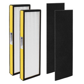 Blutoget  FLT4825 Replacement Filter B Replaces AC4825 AC4825E AC4825DLX(Pack of 2 x HEPA Filters + 2 x Carbon Pre-Filters)