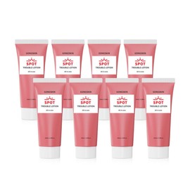 Gongskin Trouble Spot All-in-One Lotion 100ml x 8 _B / 공스킨 트러블 스팟 올인원 로션 100ml 8개 B