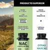 Beyond Vitamins Nac Acetil Cisteína 600mg Ultra Inulina Agave Prebiótico