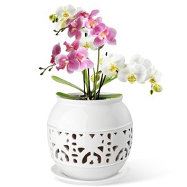 EFISPSS Orchid Pot with Holes, 6 Inch Ceramic Orchid Pot with Drainage and Tray, Promoting Air Circulation and Drainage, Indoor/Outdoor Flower Pots - White