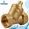 tecuro Angled Seat Check Valve Rp 1 1/4 (5/4) Inch