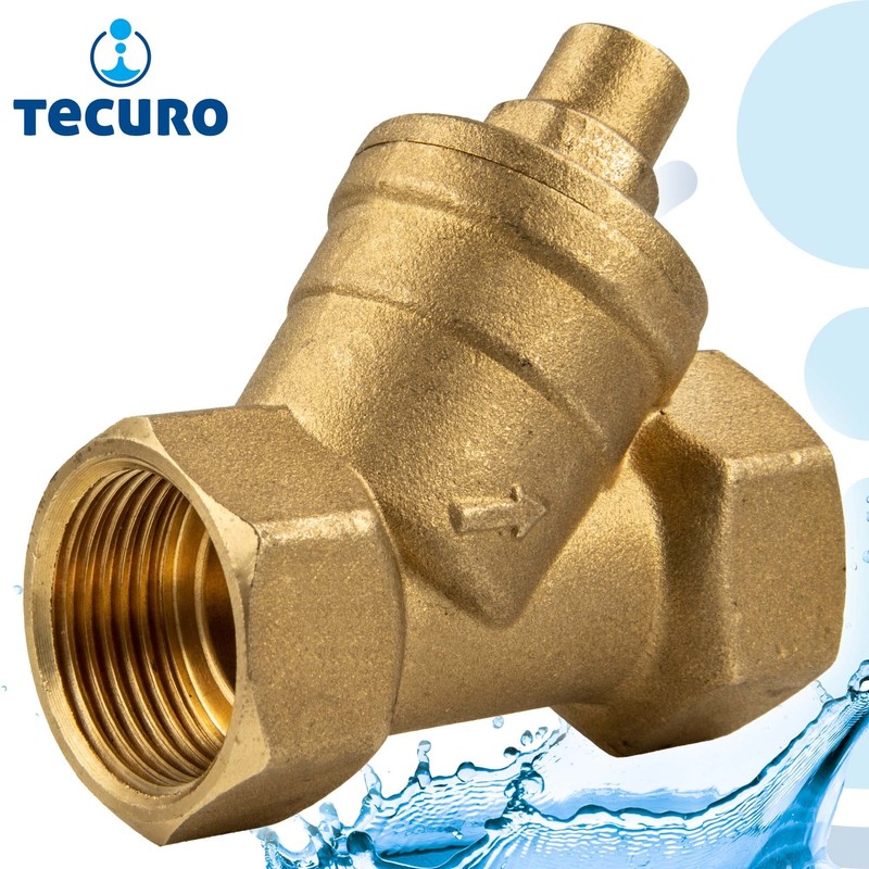 tecuro Angled Seat Check Valve Rp 1 1/4 (5/4) Inch