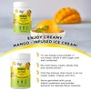 Vegs Mango Juice Powder - Freeze Dried Organic Mango Juice
