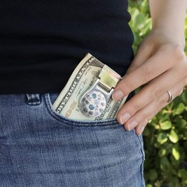 GRAPHICS & MORE Cool Succulents and Cactus Satin Chrome Plated Metal Money Clip