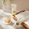 THE FACE SHOP Herb Day 365 Master Blending Foaming Cleanser