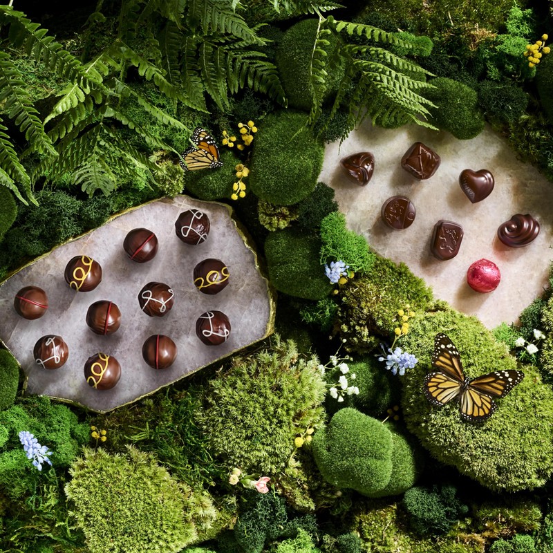 Godiva Chocolatier Assorted Dark Chocolate Truffle Gift Box for Birthday,