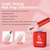 Lavender Violets 15ml Acid Free Professional Nail Dehydrator Prep for