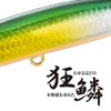 Shimano XL-210R 015 Exsense Sliding Assassin 100S X AR-C Sinking
