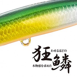 Shimano XL-210R 015 Exsense Sliding Assassin 100S X AR-C Sinking Pencil for Sea Bass