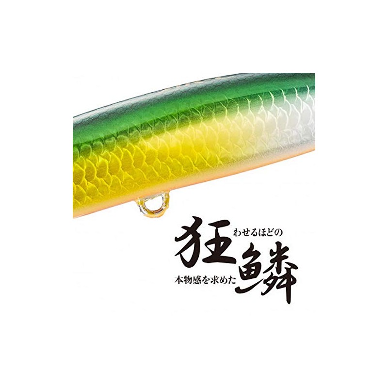 Shimano XL-210R 015 Exsense Sliding Assassin 100S X AR-C Sinking