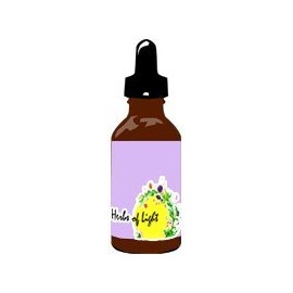Cinnamon Herbs of Light 1 oz Liquid
