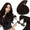 Sunny Brown U Tip Hair Extensions Human Hair Dark Brown